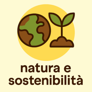 📚 12 corsi + 3 da regalare